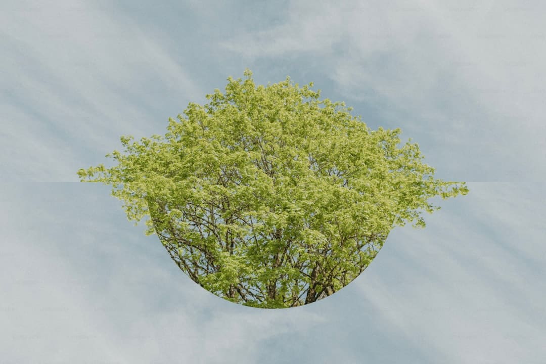 张维伊回应近来恶评：能让我们吐槽一下也挺好的
